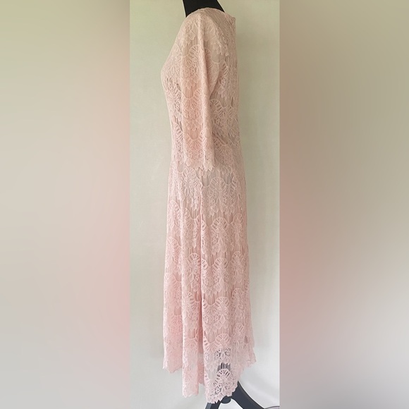 DAINTY JEWELL’S Pink Lace A-Line Midi Dress Size M Fairy Girlhoodcore Romantic - Picture 2 of 12
